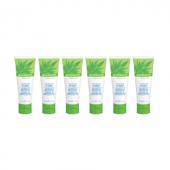 Herbal Aloe Hand and Body Wash Multipack